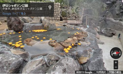 カピバラ温泉の元祖、伊豆シャボテン公園