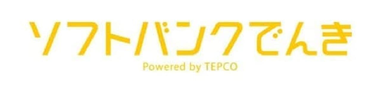 主に東京電力（TEPCO）の電気とのセットとなっている