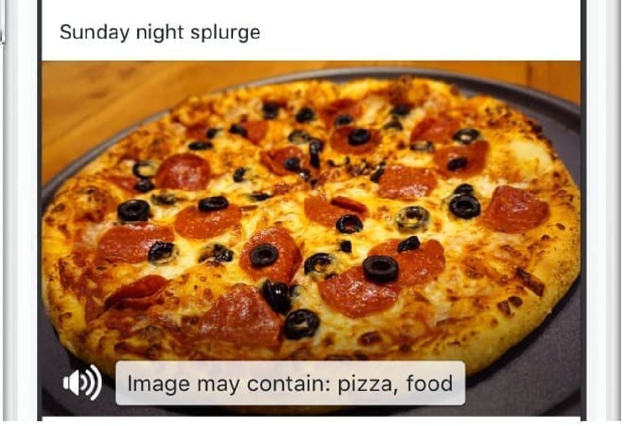 「画像にはピザ」がうつってますよ、という風に教えてくれる