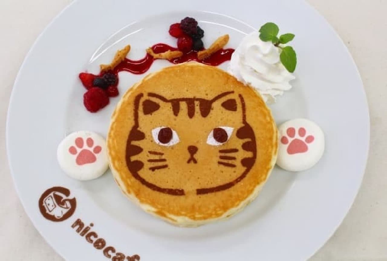 ニコニコ動画の『nicocafe』と『フェリシモ猫部』のコラボカフェ、2月21日スタート！
