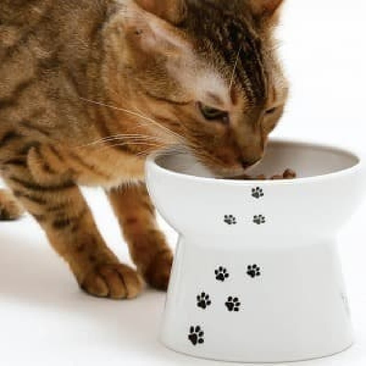 比較的食道がまっすぐな動物であるネコが食べやすいようデザインされた、ネコ用のフードボウル