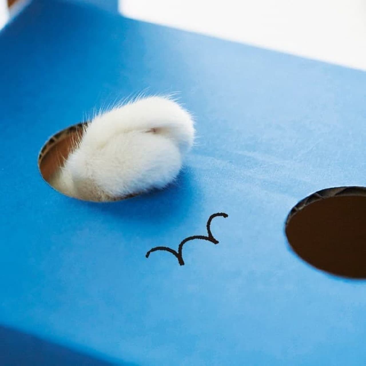 ネコが思い切りツメ研ぎできる厚さ2センチの設計。