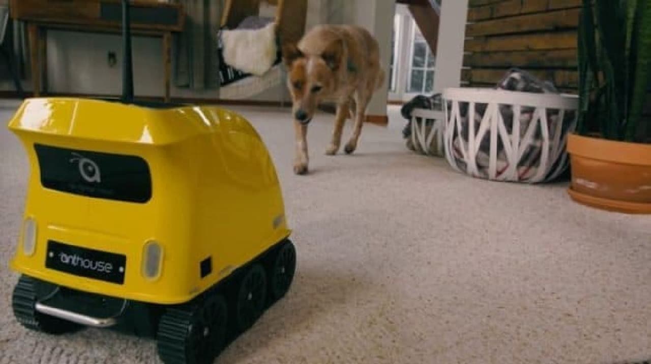 犬の世話をするロボット「Anthouse」