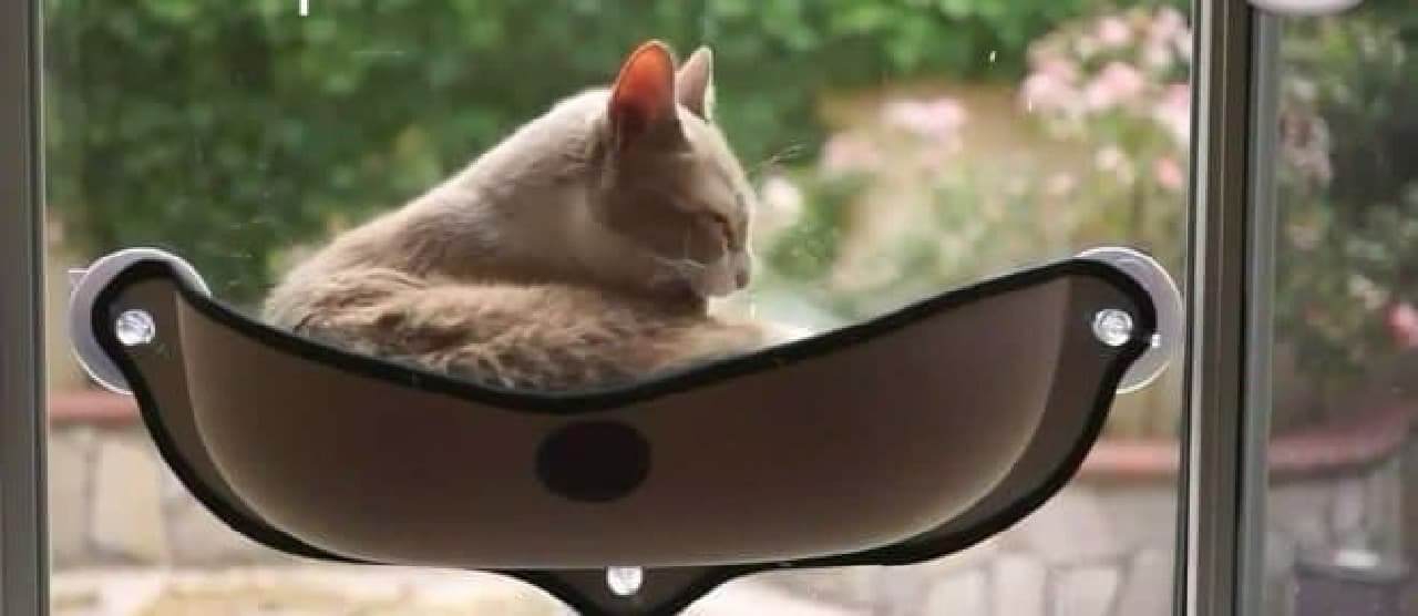 窓ガラスに吸盤で取り付けるキャットベッド「Kittypod」