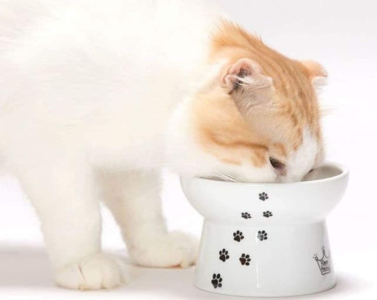 ネコのための食器 猫壱ハッピーダイニングシリーズに、新春向け「FUJI柄」