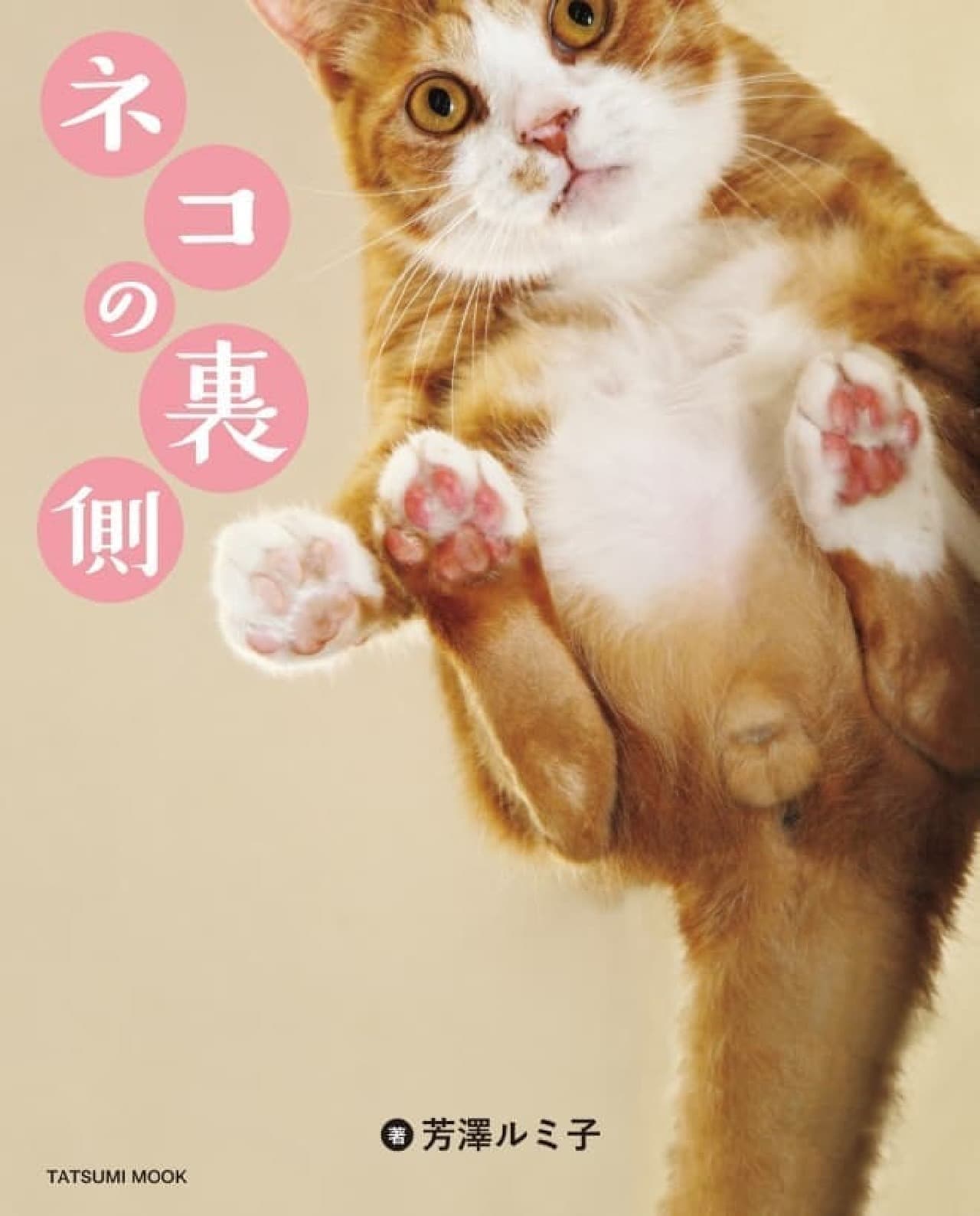 「にゃんたま」の芳澤ルミ子さんによる最新写真集『ネコの裏側』