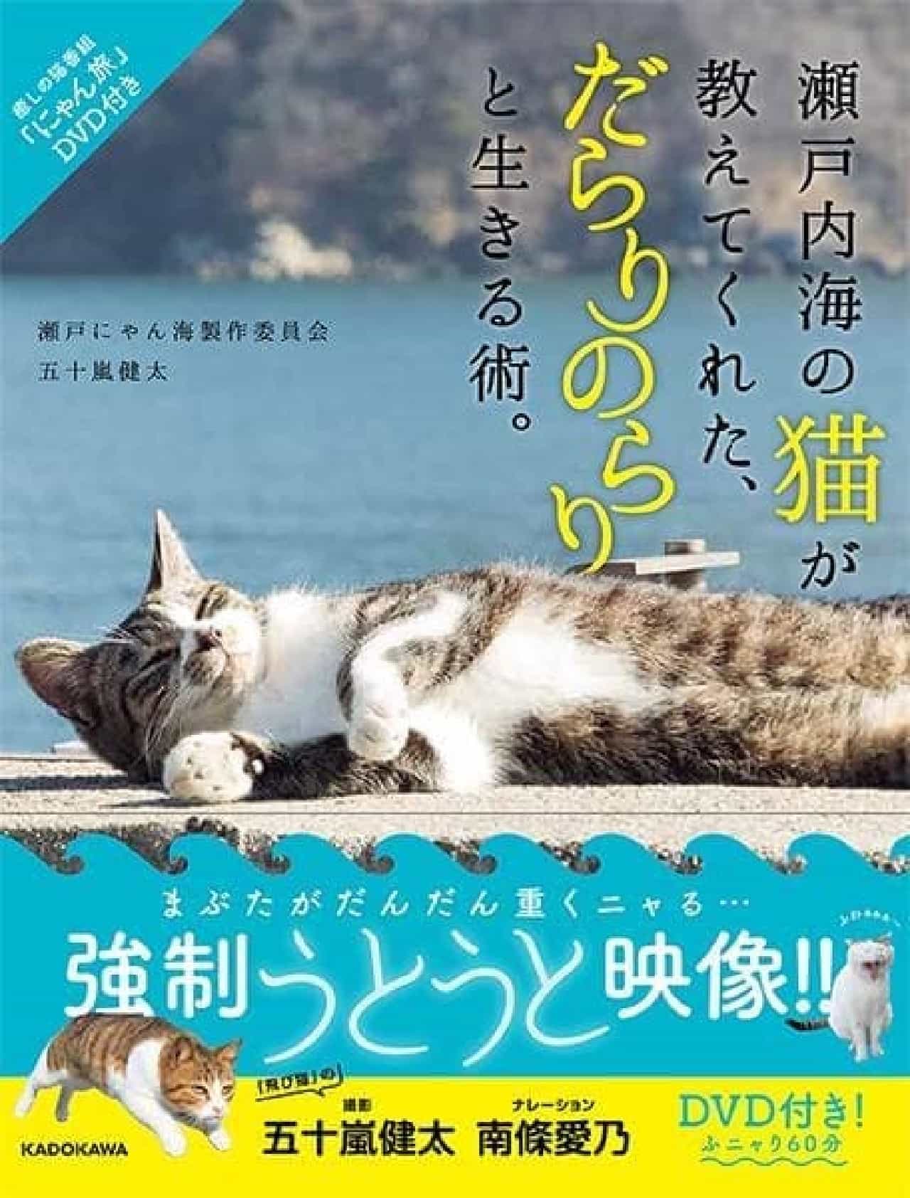 ネコ目線で瀬戸内海の島や街を楽しめる写真集『瀬戸内海の猫が教えてくれた、だらりのらりと生きる術。』