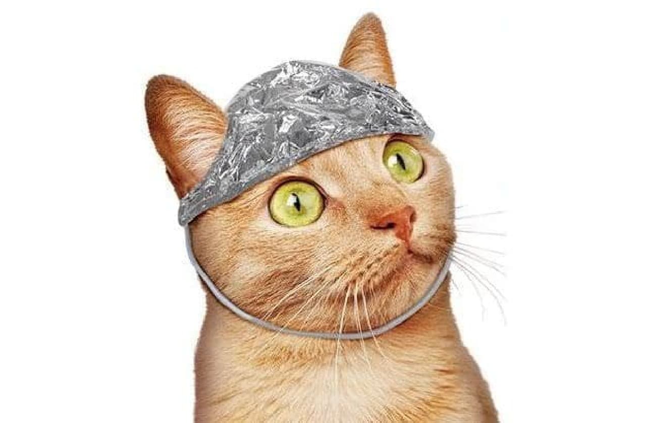 飼い猫を“やつら”の手から取り戻す帽子「TIN FOIL HAT FOR CATS」