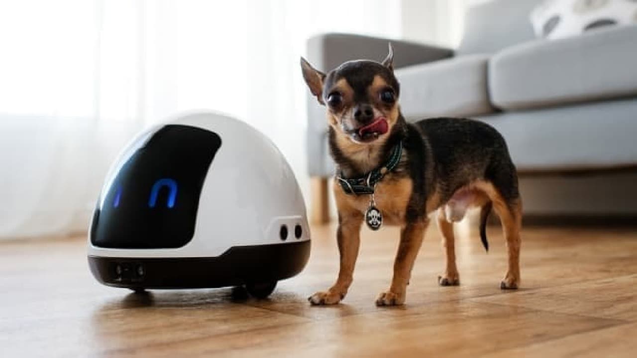 ネコと犬のために作られたロボット「MIA」―一緒に遊んで、おやつをあげて [インターネットコム]