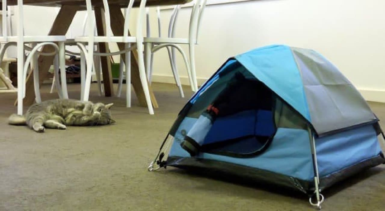ネコ用テント「Cat Camp」