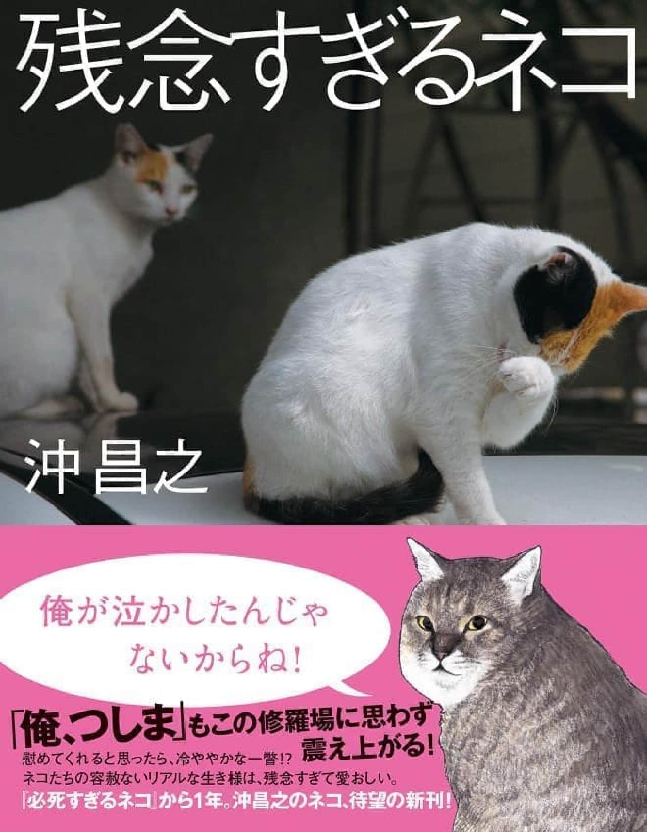 『残念すぎるネコ』発売記念、沖昌之さん写真展＆サイン会