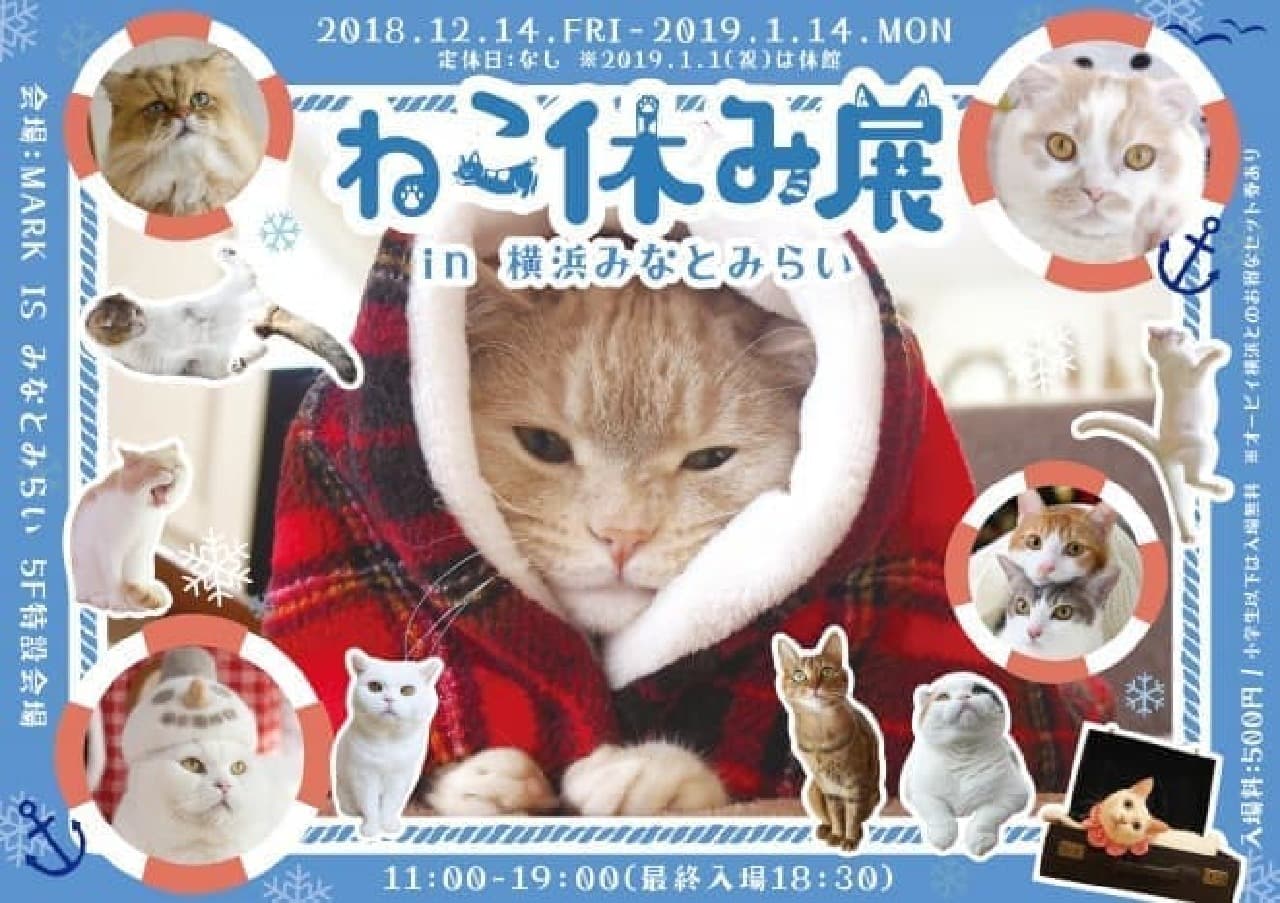 サンタネコたちが集合する「ねこ休み展 in 横浜みなとみらい」