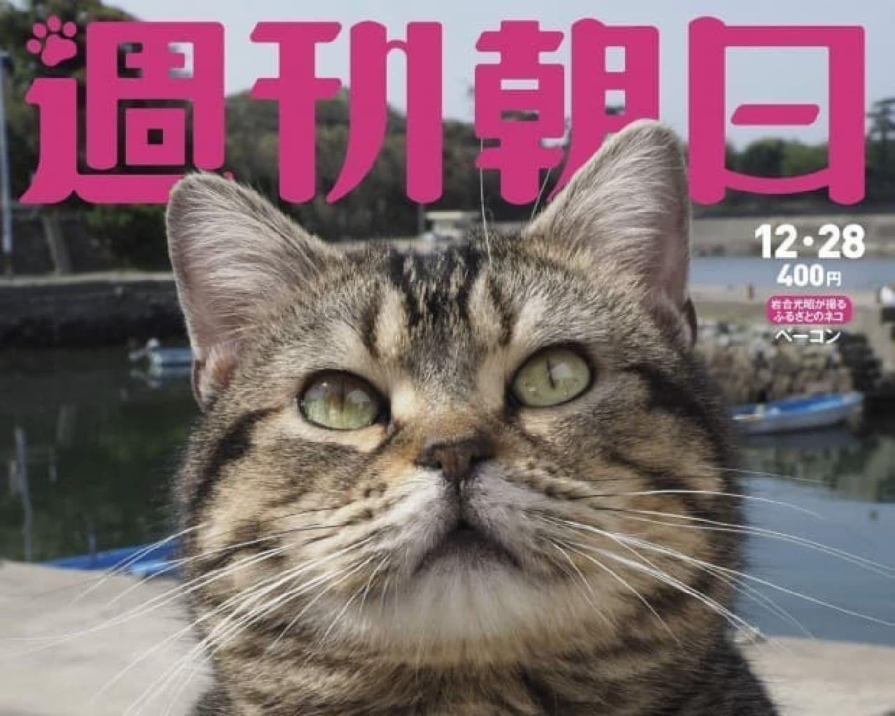 岩合光昭さん撮影のカレンダー「子ネコの冒険」付きのネコ特集号、12月18日発売