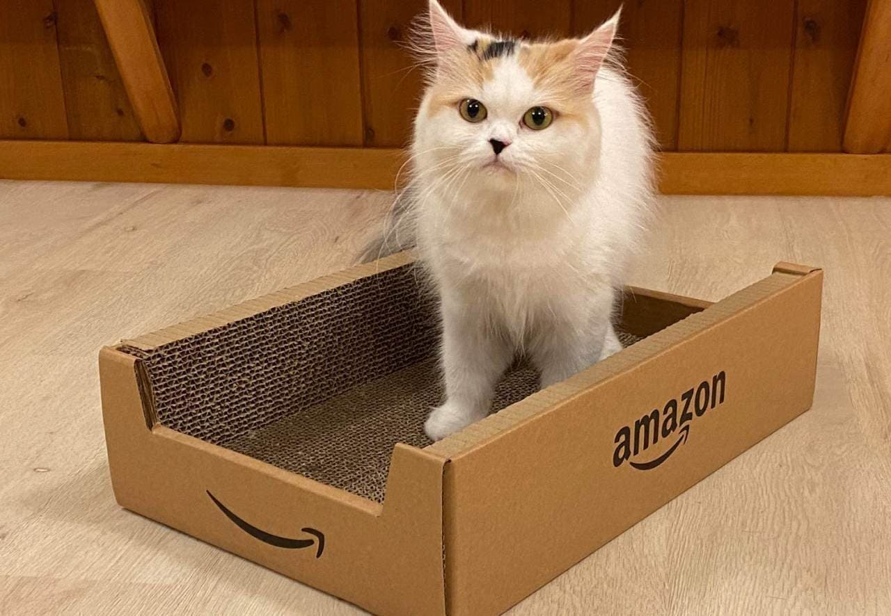 Amazonボックスのネコ用爪とぎは明日（9月5日）発売です