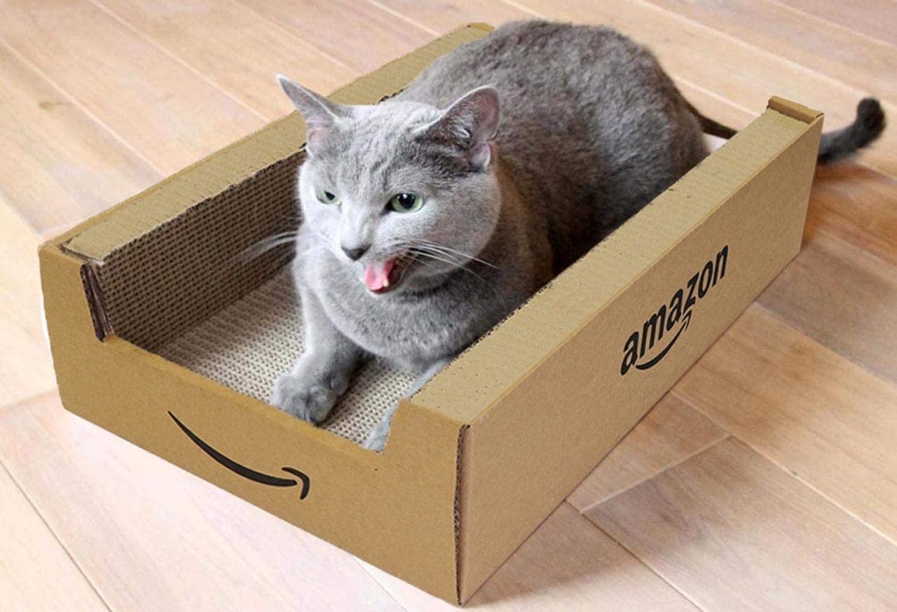Amazonボックスのネコ用爪とぎは明日（9月5日）発売です