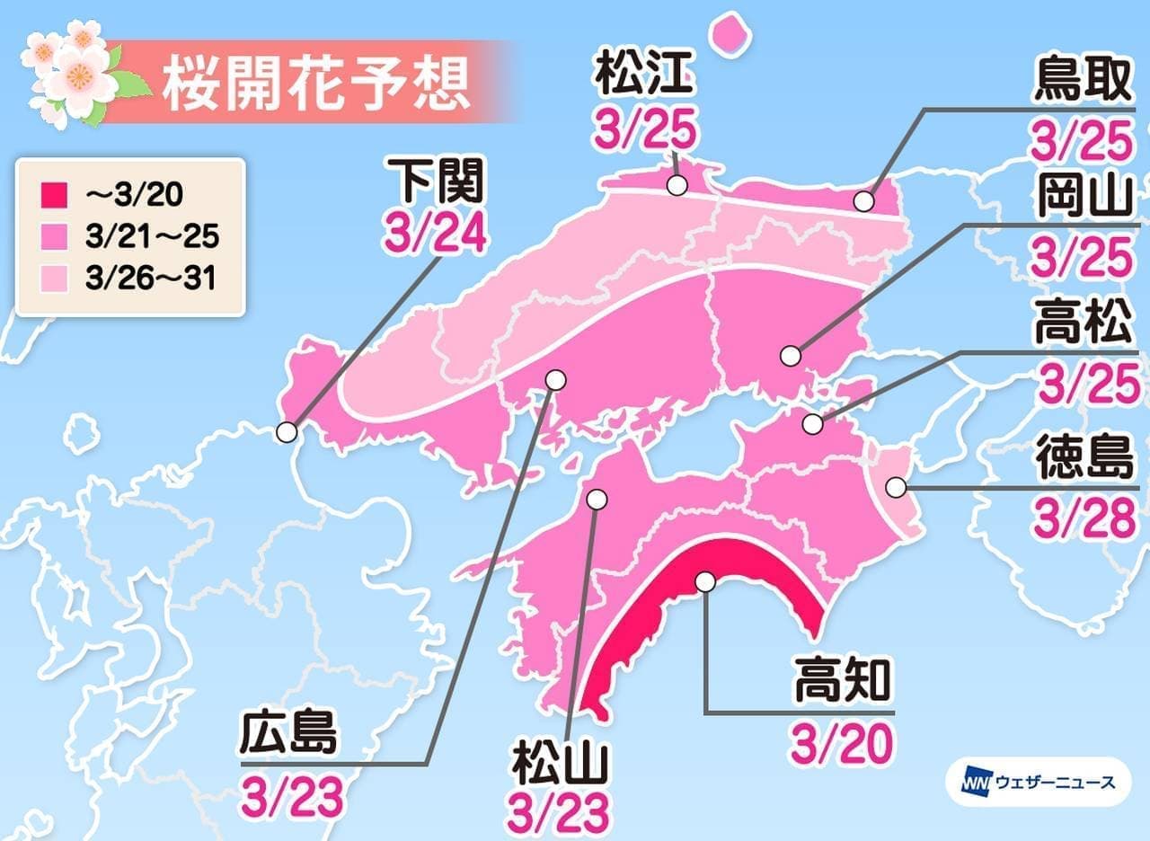 桜開花は3月18日 東京からスタート ウェザーニューズが2021年「第一回桜開花予想」発表