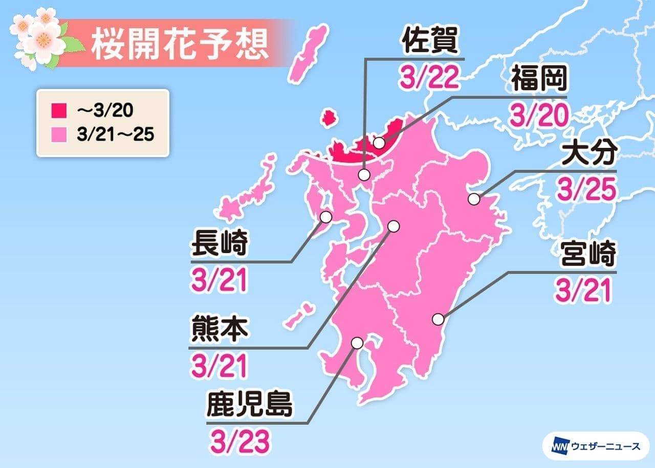桜開花は3月18日 東京からスタート ウェザーニューズが2021年「第一回桜開花予想」発表
