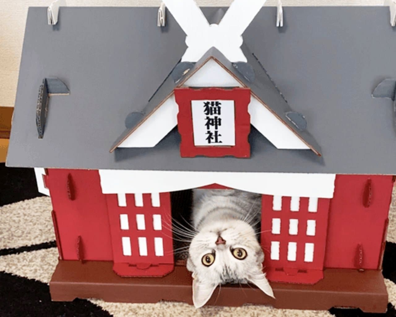 ダンボール製 もふもふ猫神社 Makuakeに登場 おやつ置きになる賽銭箱付き インターネットコム