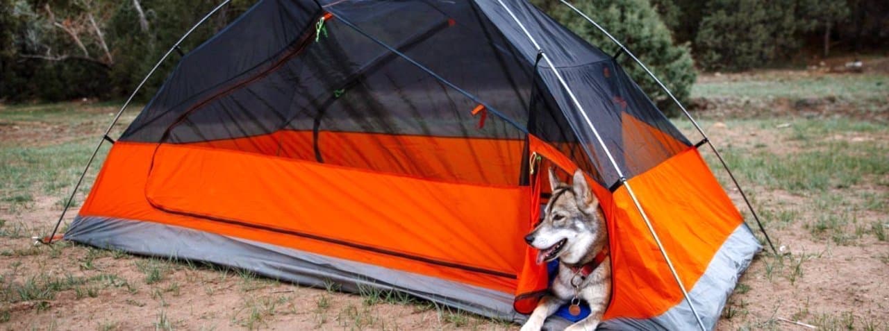 犬専用の小部屋付きテント「Kings Peakテント」 大人二人とわんこ1匹が泊まれる