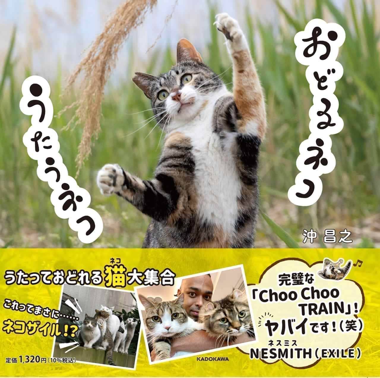 ネコ写真集『おどるネコうたうネコ』9月18日発売 沖昌之さんが撮影した想像力を刺激するネコたち