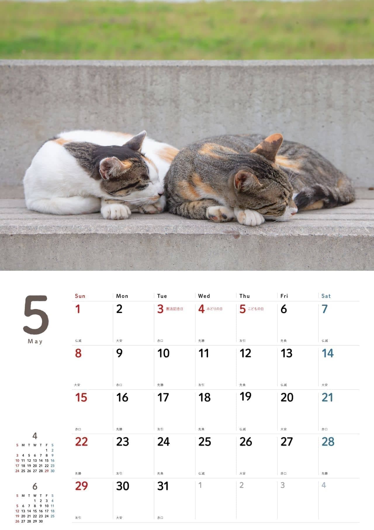 シンクロネコ そして甘えネコ 沖昌之さんによる「よりそい猫カレンダー2022」販売中