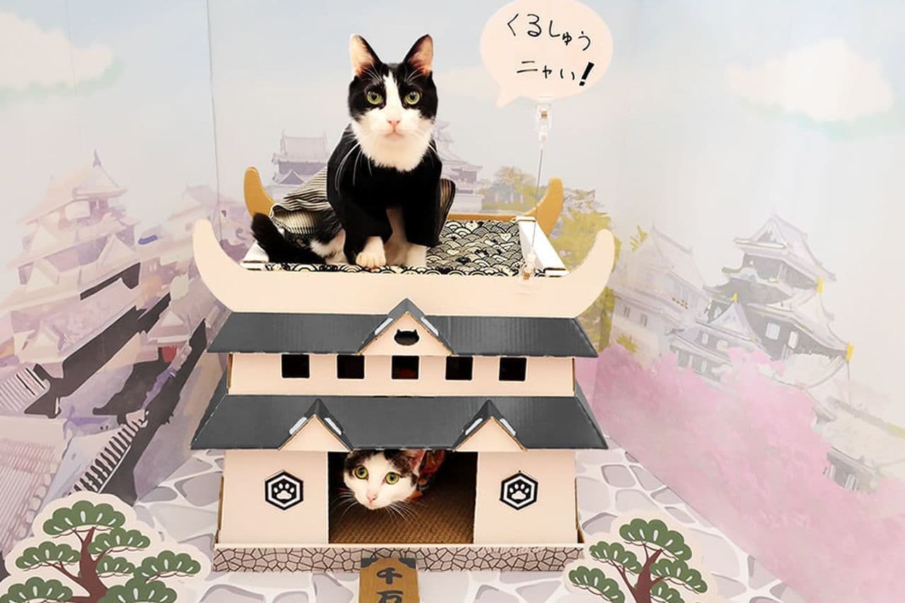 くるしゅうニャい！ネコ様専用のお城型ハンモックハウス「ネコ丸城」Kibidangoに登場！ [インターネットコム]