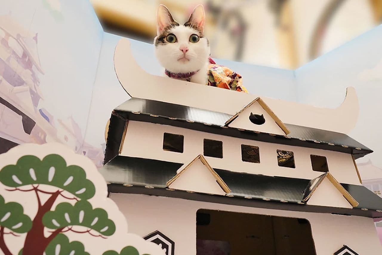 くるしゅうニャい！ネコ様専用のお城型ハンモックハウス「ネコ丸城」Kibidangoに登場！ [インターネットコム]