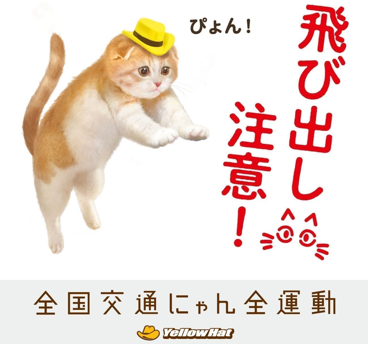 「猫飛び出しサイン」を渋谷“キャット”ストリートの学校に設置！猫の安全を守るイエローハットの全国交通にゃん全運動キャンペーン
