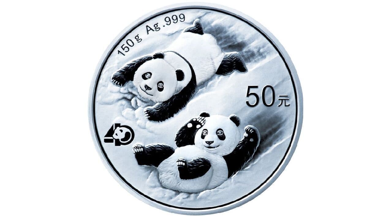 雪上で遊ぶ2頭の子パンダ 「パンダ金貨 40周年記念コイン」 4月11日予約販売開始 銀貨も同時販売