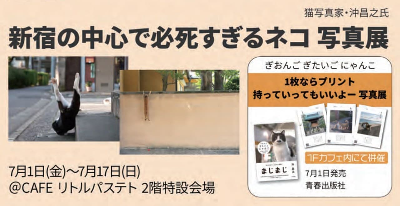ネコ写真家沖昌之さんの写真展「新宿の中心で必死すぎるネコ 写真展」3D巨大猫のクロス新宿ビルで開催