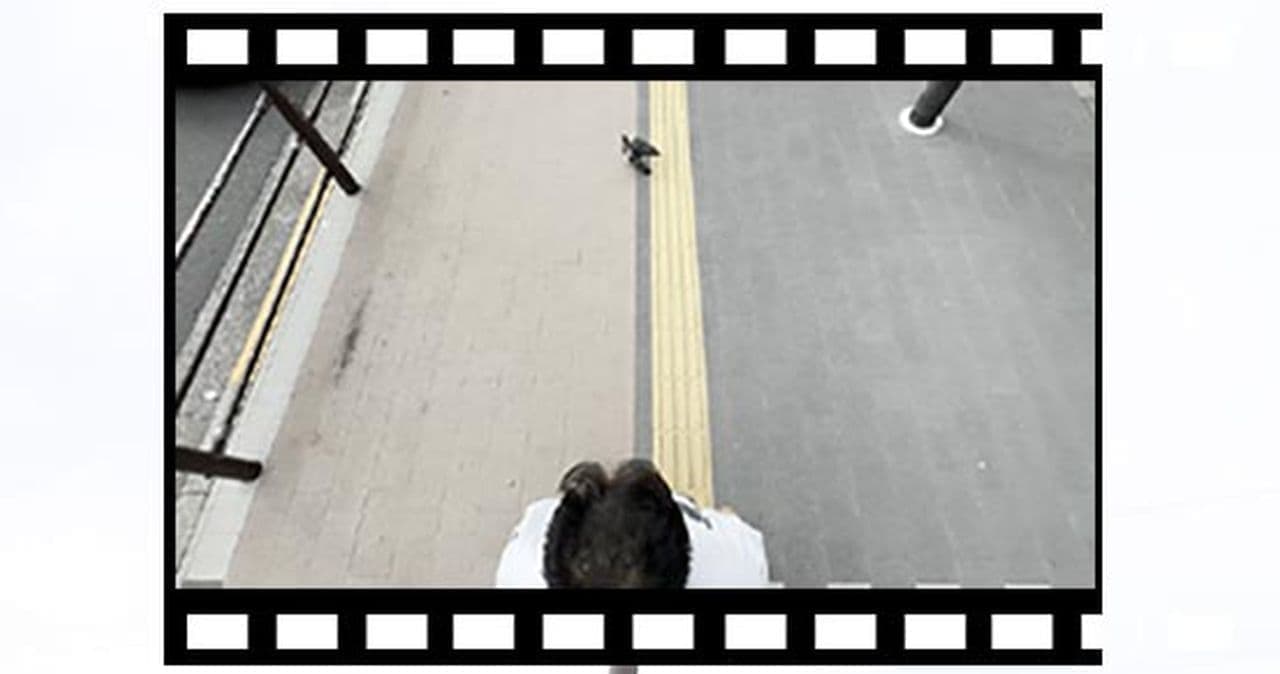 歩きながら ドローンのような動画を撮影できる長いカメラアーム「Highチーズ」サンコーから