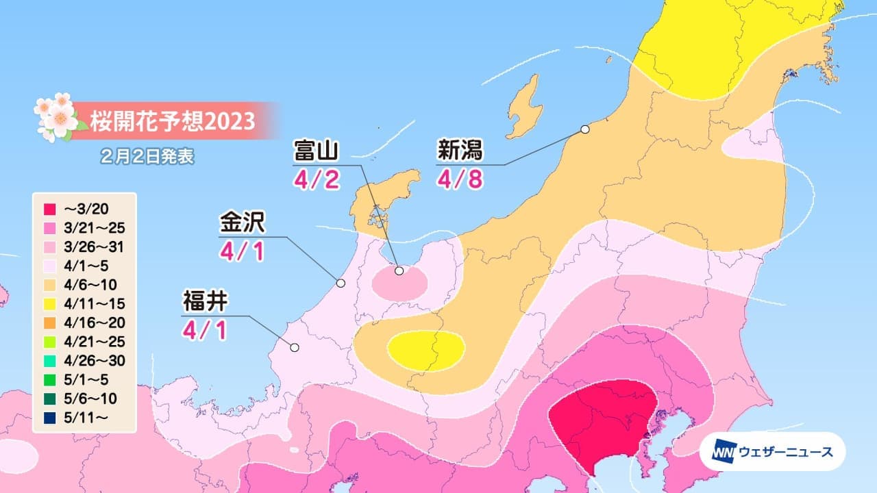 ウェザーニューズ 2023年「第二回桜開花予想」北陸
