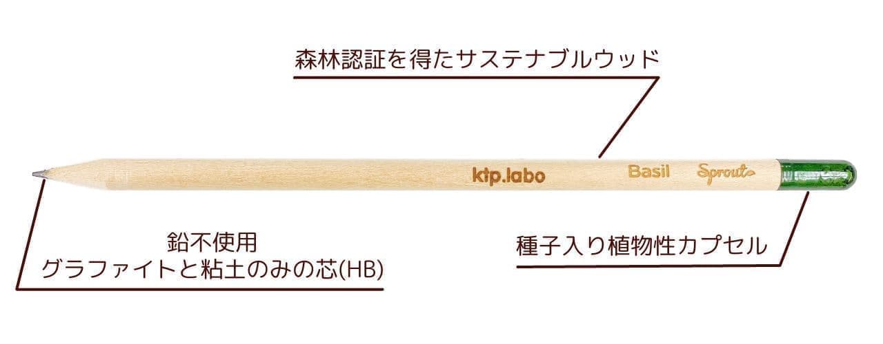 ktp.labo「芽が出る鉛筆」