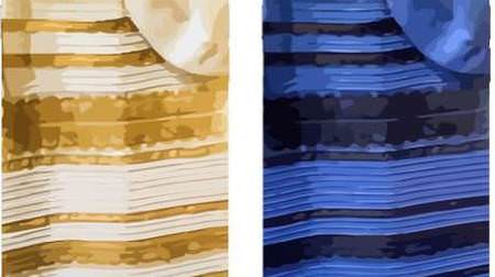 「青と黒」か「白と金」か、話題のドレスが iPhone ケースに―米アマゾンが予約受付