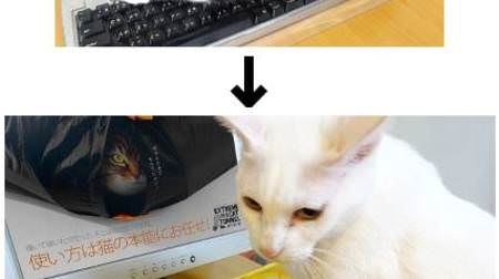 猫からキーボードを守る透明アクリル製カバーはいかが？