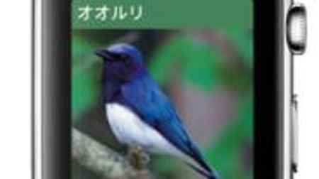 Apple Watchで野鳥を観察―「山溪ハンディ図鑑 日本の野鳥」がApple Watchに対応