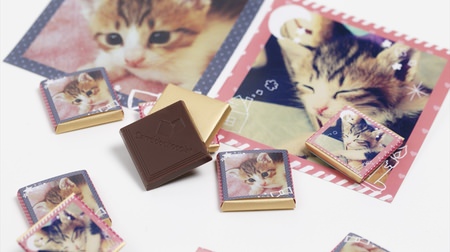 あなたの猫写真がチョコに！―インスタグラムを包み紙に印刷する「おかしプリント」