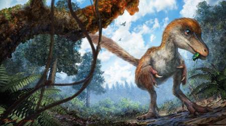 恐竜のしっぽはフサフサだった？―コハクの中で見つかった標本が話題に