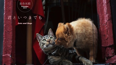 「週刊朝日」もネコまみれ？…岩合光昭さん撮影の犬＆猫カレンダー