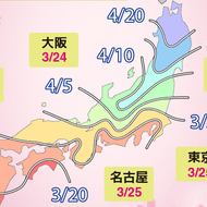 寒い1月、サクラの眠りをさます―今年の開花は早め、東京は3月25日