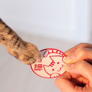初めまして、ネコですニャ…愛猫用名刺も作れる「ねこずかん ねこめいし」