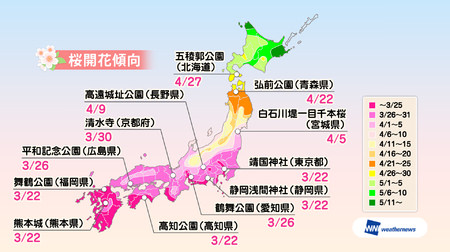 東京の桜は3月22日に開花見込み…ウェザーニューズが2017年桜開花傾向を発表
