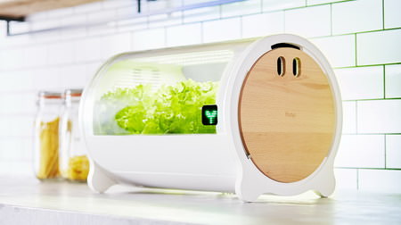 iPhoneで野菜を育てよう―ウチに置けるIoT水耕栽培機「foop」に新モデル