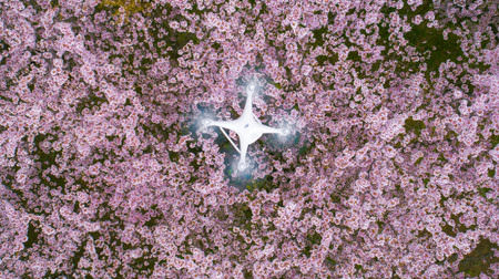 空から春を撮ろう―ドローンによる桜の写真コンテストが開催