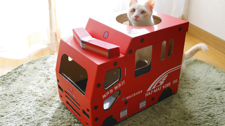 ネコ、出動！…特殊災害対策車デザインの「猫さんのつめとぎ消防車『HAZ-MAT KOBE119』」販売開始