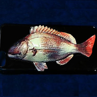 自分が釣った魚がiPhoneケースに！―3Dで凹凸まで再現