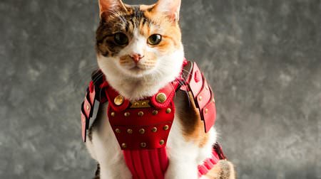 拙者、サムライネコですニャン…ネコ＆小型犬用の鎧「ペット鎧」