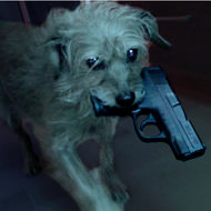 最愛の飼い主を殺されたイヌが復讐するムービー「ドッグ・ウィック」が話題