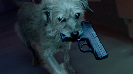 最愛の飼い主を殺されたイヌが復讐するムービー「ドッグ・ウィック」が話題