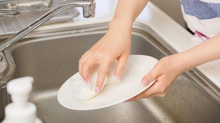 食器洗い用のスポンジは1週間で交換した方が良い―ドイツの研究チームが発表